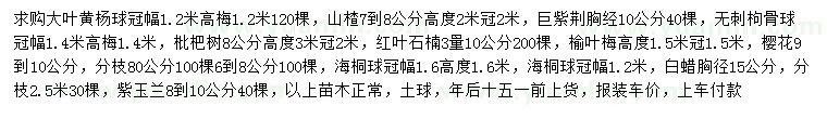 求购大叶黄杨球、山楂、巨紫荆等