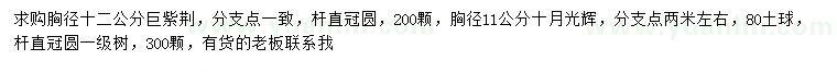 求购胸径12公分巨紫荆、胸径11公分十月光辉