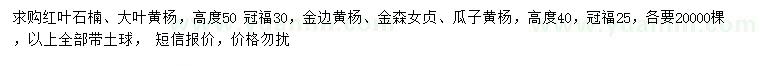 求购红叶石楠、大叶黄杨、金边黄杨等