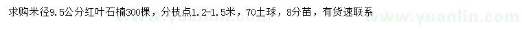 求购米径9.5公分红叶石楠