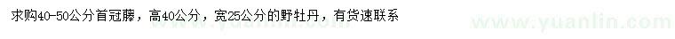 求购40-50公分首冠藤、高40公分野牡丹