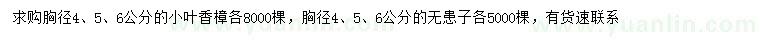 求购胸径4、5、6公分小叶香樟、无患子