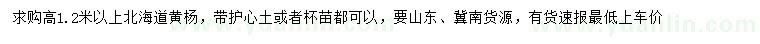 求购高1.2米以上北海道黄杨