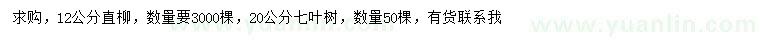 求购12公分直柳、20公分七叶树