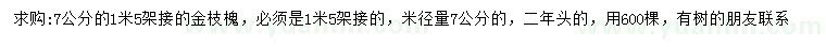 求购米径7公分金枝槐