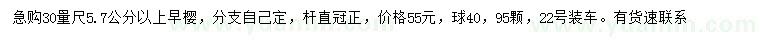 求购30量5.7公分以上早樱