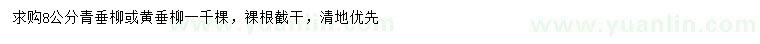 求购8公分青垂柳、黄垂柳