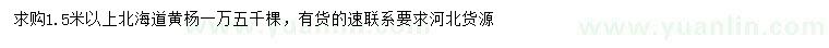 求购1.5米以上北海道黄杨