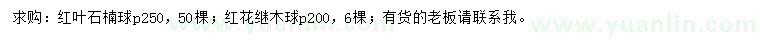 求购冠250公分红叶石楠球、冠200公分红花继木球