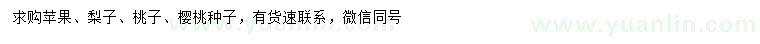 求购苹果种子、梨子种子、桃子种子等