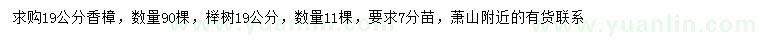 求购19公分香樟、榉树