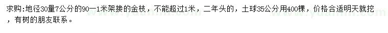 求购30量7公分金枝槐