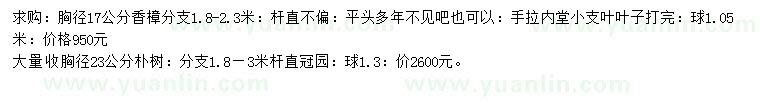 求购胸径17公分香樟、胸径23公分朴树