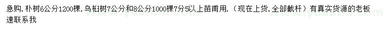 求购6公分朴树、7、8公分乌桕