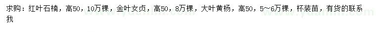 求购红叶石楠、金叶女贞、大叶黄杨