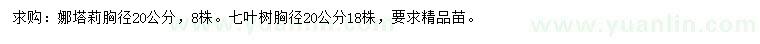 求购胸径20公分娜塔栎、胸径20公分七叶树