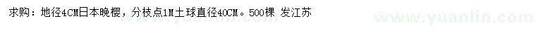 求购地径4公分日本晚樱