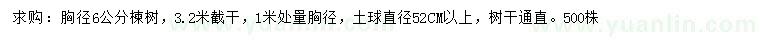 求购1米量6公分楝树 