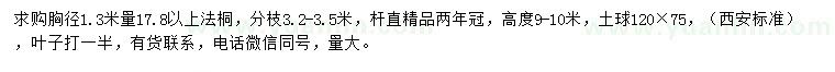 求购1.3米量17.8公分以上法桐