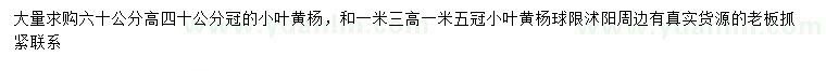 求购高60公分小叶黄杨、高1.3米小叶黄杨球
