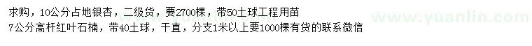 求购10公分银杏、7公分高杆红叶石楠