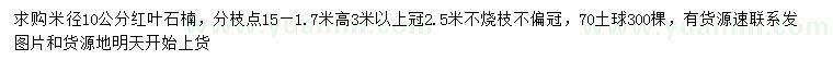 求购米径10公分红叶石楠