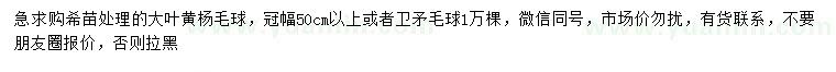 求购冠幅50公分以上大叶黄杨球、卫矛球