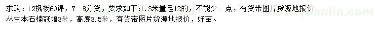 求购1.3米量12公分枫杨、冠幅3米丛生本石楠