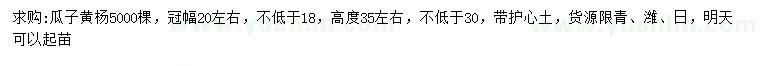 求购高30公分以上瓜子黄杨