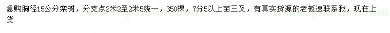 求购胸径15公分栾树