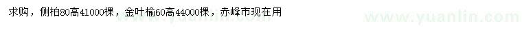 求购高80公分侧柏、高60公分金叶榆