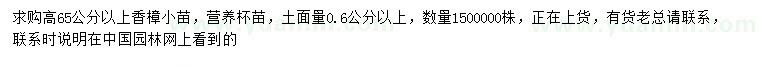 求购高65公分以上香樟小苗