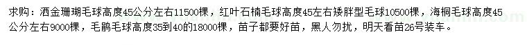 求购洒金珊瑚球、红叶石楠球、海桐球等