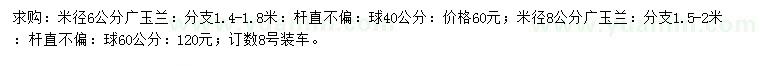 求购米径6、8公分广玉兰