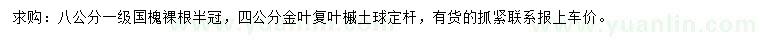 求购8公分国槐、4公分金叶复叶槭