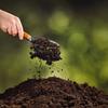 未经有机肥发酵剂处理 粪便自然堆肥的危害 对花卉的危害