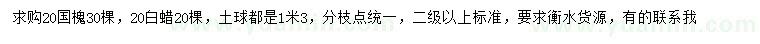 求购20公分国槐、白蜡