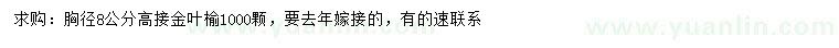 求购胸径8公分高接金叶榆