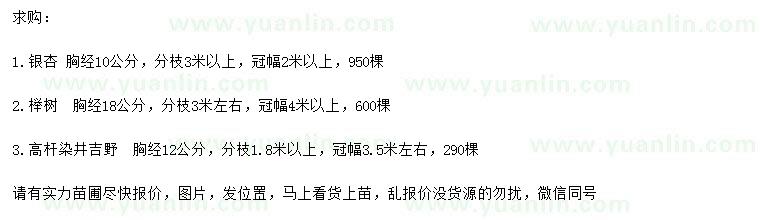 求购银杏、榉树、高杆染井吉野樱