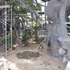江苏大型动物园塑石假山制作