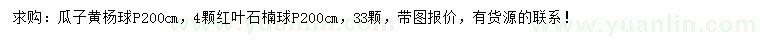 求购冠2米瓜子黄杨球、红叶石楠球