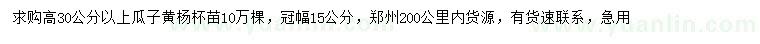 求购高30公分以上瓜子黄杨