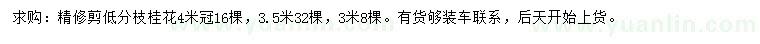 求购3、3.5、4米桂花