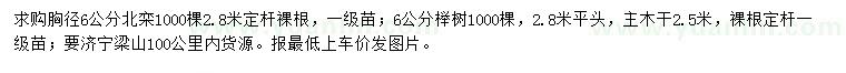 求购胸径6公分北栾、6公分榉树