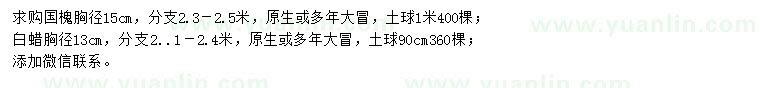 求购胸径15公分国槐、胸径13公分白蜡