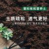 安徽厂家生产各种基质营养土 花卉营养土 育苗营养土