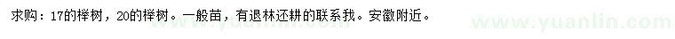 求购17、20公分榉树