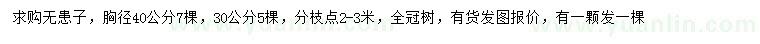 求购胸径30、40公分无患子