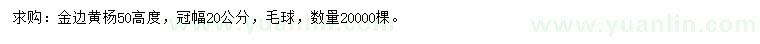求购高50公分金边黄杨