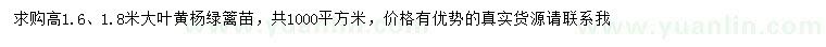 求购高1.6、1.8米大叶黄杨